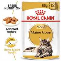 ROYAL CANIN Breed Health Nutrition Maine Coon Adult In Gravy Wet Cat Food - 12x85g Pouches
